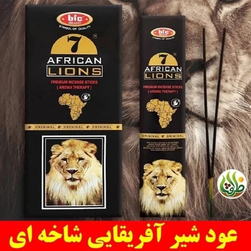 عود هفت شیر آفریقایی(7 African Lions) برند BIC